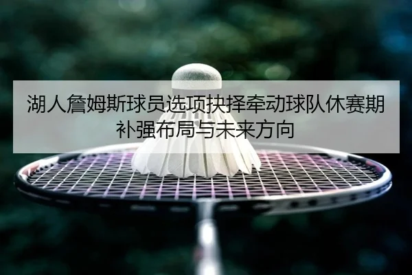 湖人詹姆斯球员选项抉择牵动球队休赛期补强布局与未来方向