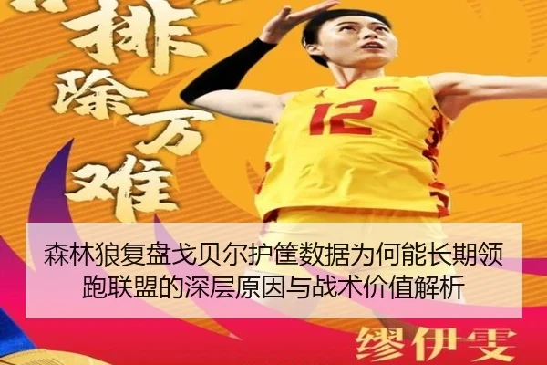 森林狼复盘戈贝尔护筐数据为何能长期领跑联盟的深层原因与战术价值解析