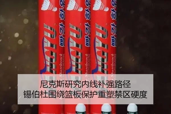 尼克斯研究内线补强路径 锡伯杜围绕篮板保护重塑禁区硬度